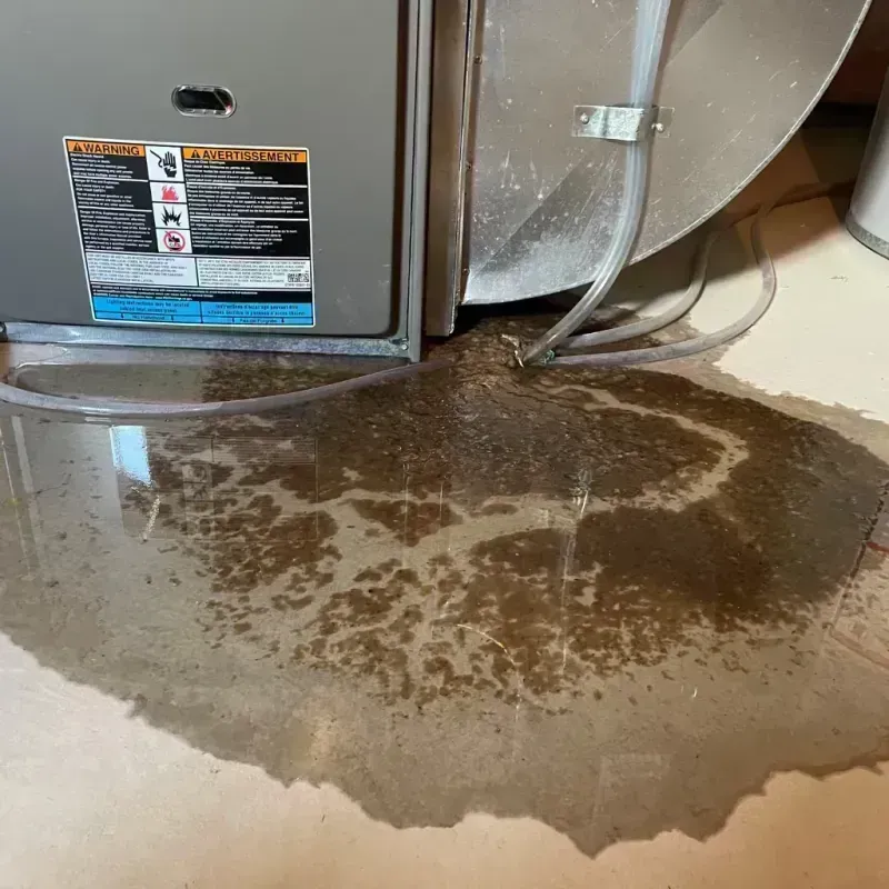 Appliance Leak Cleanup in Tavares, FL